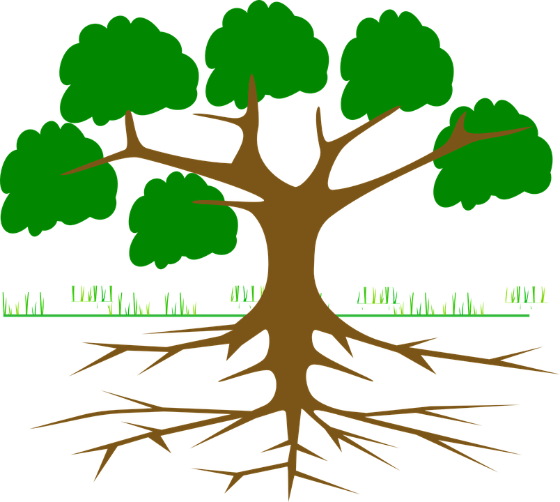 Major Components Of The Environment